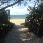 Profile Picture of Amanda Swords (@amanda_swords) on Instagram