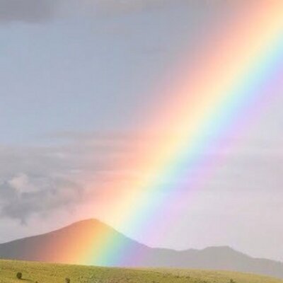 Profile Picture of Bobbie Spence (@BobbieSpence1) on Twitter