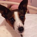 Sydnee Jones - Instagram Profile Picture of Sydnee Jones (@itzz_sydnee_) on Instagram