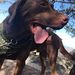 Profile Picture of Casey Dinan (@caseydinan2187) on Pinterest