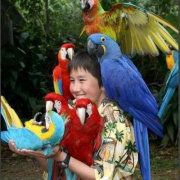 Profile Picture of James Maher (@jamesbmaher) on Pinterest