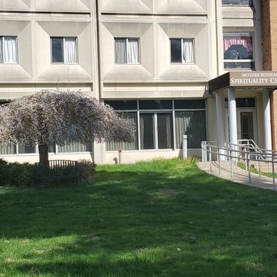 Joanne Nesbitt - Twitter Profile Picture of Joanne Nesbitt (@joanne_nesbitt) on Twitter