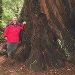 Profile Picture of Jeff Dorer (@jeffreydorer) on Pinterest