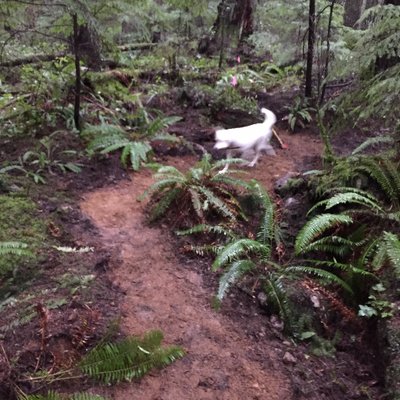 Profile Picture of Nathan Jessup (@cnathanrjessup1) on Twitter