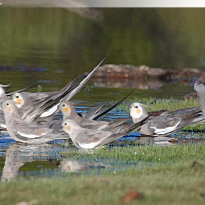 Profile Picture of Paula Douglas (@pauladouglas75) on Twitter