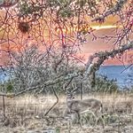 Profile Picture of Brandon B-Don Donnelly (@b_don1221) on Instagram