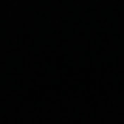 Profile Picture of Caroline Casey (@carolinecasey573) on Youtube