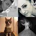 Profile Picture of Jonni Simonetti (@jonni.simonetti) on Facebook