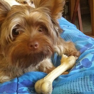Profile Picture of Paula J Mcnutt (@PaulaMcnutt) on Twitter