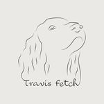 Profile Picture of Travis Fetch Dog Groomers (@travisfetchuk) on Instagram