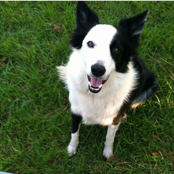 Profile Picture of Haley Moseley (@haleylogan) on Poshmark