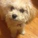 Profile Picture of Nancy Prall (@sandeesmaster) on Pinterest