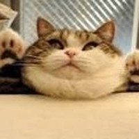 Profile Picture of Jeremy Harden (@jeremy-harden-18) on Quora
