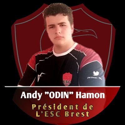 Profile Picture of Andy .ODIN. Hamon (@escb_odin) on Twitter