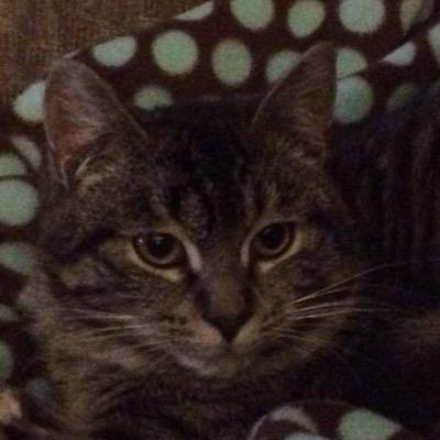 Profile Picture of Renee Kooyer (@reneekooyer) on Twitter