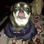 Profile Picture of Hans Peter  Kreuser (@hanspeterkreuser) on Instagram