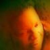 Profile Picture of Michelle Stigall (@michelle.stigall.31) on Facebook