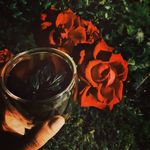 Profile Picture of Kenneth (@kenneththomaseibpqbevhj) on Instagram