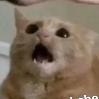 Joseph Cabrera - Facebook Profile Picture of Joseph Cabrera (@Joseph-Cabrera) on Facebook