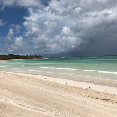 Profile Picture of Albert Mayo (@MayoADV) on Twitter