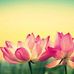 Profile Picture of Parminder Bring (@parminder.bring.79) on Facebook