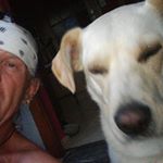 Herbert Wally - Instagram Profile Picture of Herbert Wally (@herbert.wally.180) on Instagram