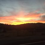 Profile Picture of Chris Alvarez (@chrisalvarez111) on Instagram