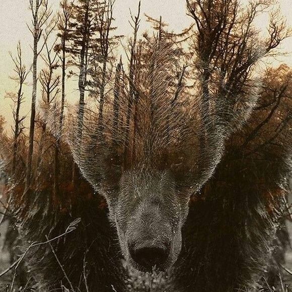 Profile Picture of Delbert Johnson (@delbertjohnson) on Poshmark