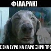 Profile Picture of Στασινος Αναστασοπου (@@stasinosanastasopoulos) on Tiktok