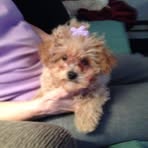 Profile Picture of Cindy Devaney (@cindy.devaney.96) on Facebook