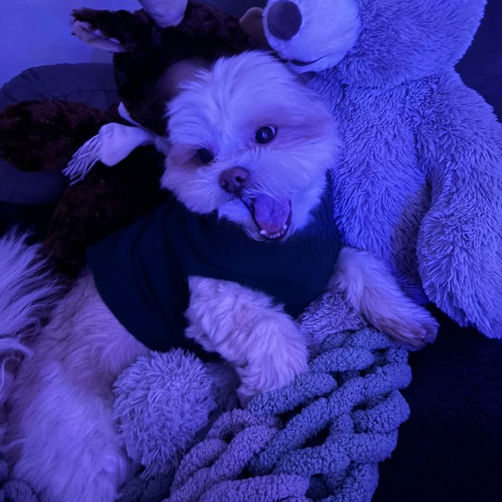 Profile Picture of grace peters (@grace._peters) on Tiktok