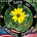 Profile Picture of Linda Allen Neal (@linda.allen.526438) on Facebook