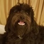 Profile Picture of Kim Doyle (@kimbettsdoyle) on Instagram