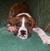 Profile Picture of Phyllis Lynn Markham (@phyllis.l.markham) on Facebook