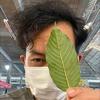 Profile Picture of KevinKrong (@kevinkrong) on Tiktok