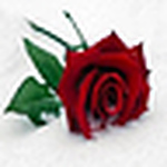 Profile Picture of Jwlpeaceout (@jwlpeaceout) on Flickr