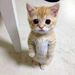 Profile Picture of Sera Mark (@mentola) on Pinterest