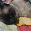 Profile Picture of Joel maker (@@joel_tiktok_xd) on Tiktok