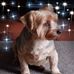 Profile Picture of Sandra Devlin (@sandra.devlin.90) on Facebook