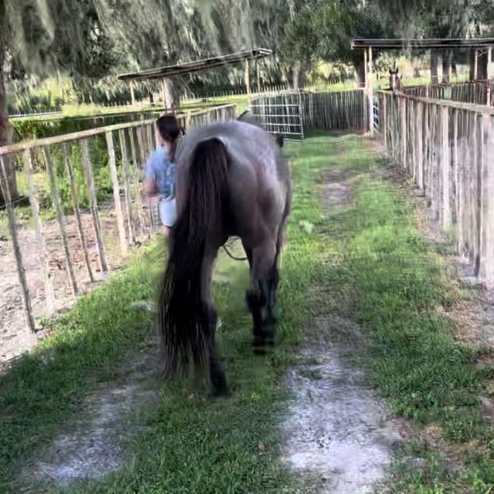 Profile Picture of Shawnees_spammmyyyyyyyy😋 (@shawneevina) on Tiktok