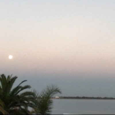 Profile Picture of Silvia Lamas (@Silvialamas5) on Twitter