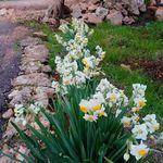 Profile Picture of Jihan Mokdad (@cihan_mokdad) on Instagram