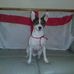 Profile Picture of Colin Halford (@colin.halford.58) on Facebook
