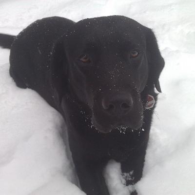 Profile Picture of Markus C. Koehler (@jamisonkoehler) on Twitter