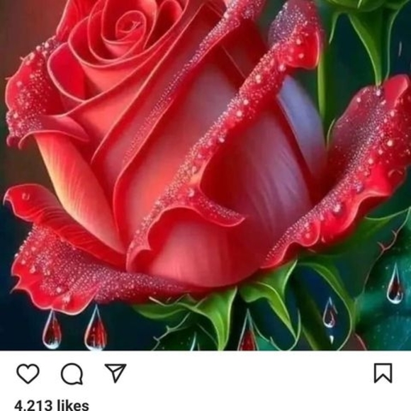 Profile Picture of Sherryann Pence (@sherryannpence) on Poshmark