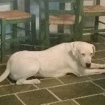 Profile Picture of john_louk (@john_louk) on Instagram