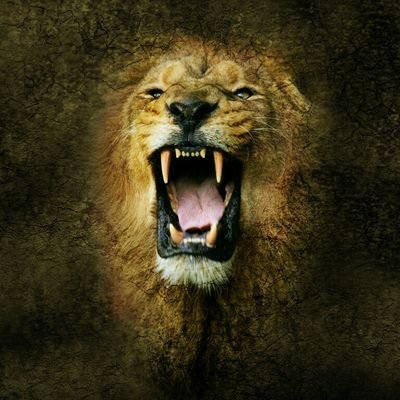 Profile Picture of Joe Wyble (@jobwan1959) on Twitter