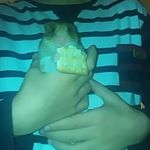 Profile Picture of cecil jones the hamster (@_cecil_the_hamster_) on Instagram