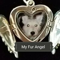 Profile Picture of Lori Harmon (@lori-harmon-10) on Quora