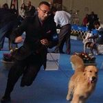 Profile Picture of Joelson Dos Santos (@joelsonhandler) on Instagram